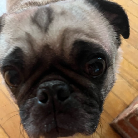 Meet your Posher, Jeremy - Picture 1 of 1